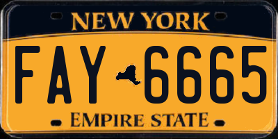 NY license plate FAY6665