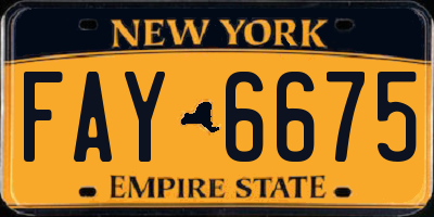 NY license plate FAY6675