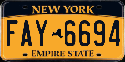 NY license plate FAY6694