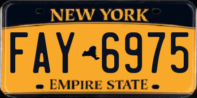 NY license plate FAY6975