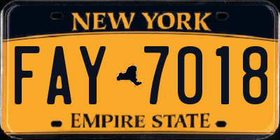 NY license plate FAY7018