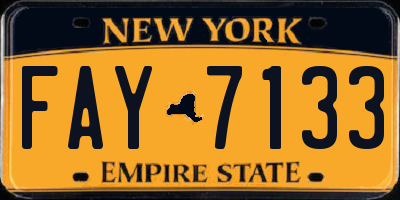 NY license plate FAY7133