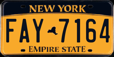 NY license plate FAY7164