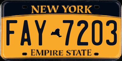 NY license plate FAY7203