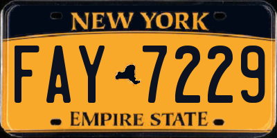 NY license plate FAY7229