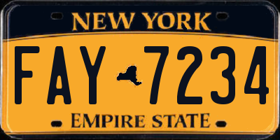 NY license plate FAY7234