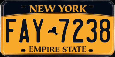 NY license plate FAY7238