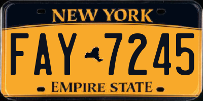 NY license plate FAY7245