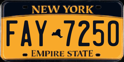 NY license plate FAY7250