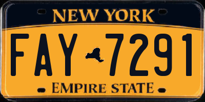 NY license plate FAY7291