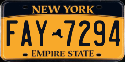 NY license plate FAY7294