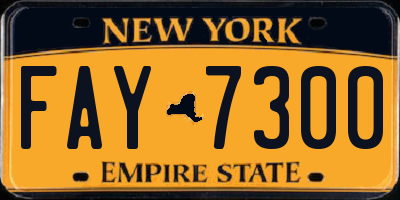 NY license plate FAY7300