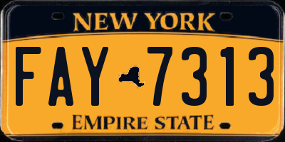 NY license plate FAY7313