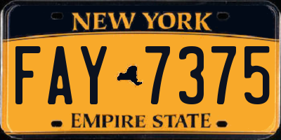 NY license plate FAY7375