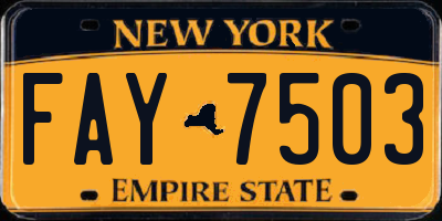 NY license plate FAY7503