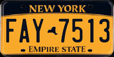 NY license plate FAY7513