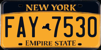 NY license plate FAY7530