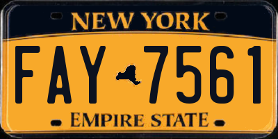 NY license plate FAY7561