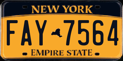 NY license plate FAY7564