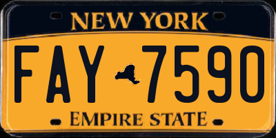 NY license plate FAY7590