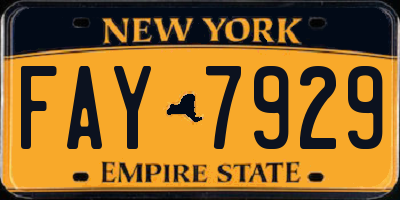 NY license plate FAY7929