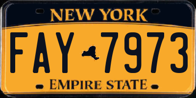 NY license plate FAY7973