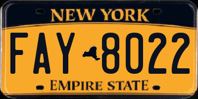 NY license plate FAY8022