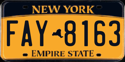 NY license plate FAY8163