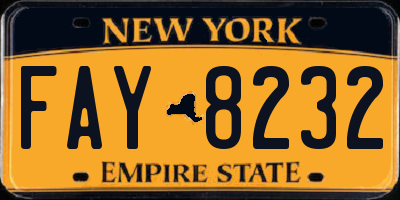 NY license plate FAY8232