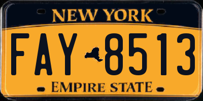 NY license plate FAY8513