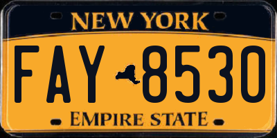 NY license plate FAY8530