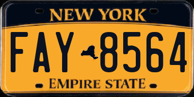 NY license plate FAY8564