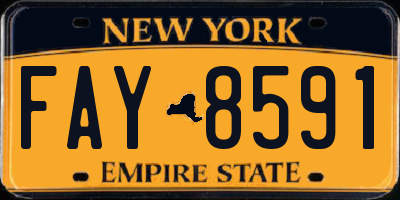 NY license plate FAY8591