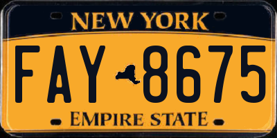NY license plate FAY8675