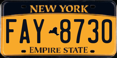 NY license plate FAY8730