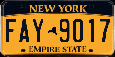 NY license plate FAY9017