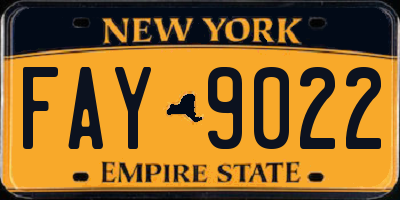 NY license plate FAY9022