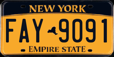 NY license plate FAY9091