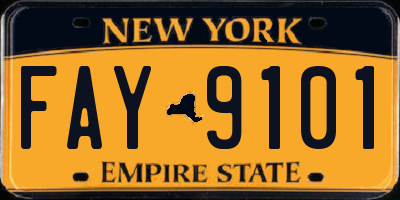 NY license plate FAY9101