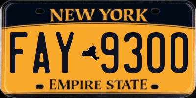 NY license plate FAY9300