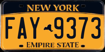 NY license plate FAY9373