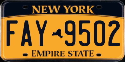 NY license plate FAY9502