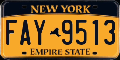 NY license plate FAY9513