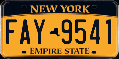 NY license plate FAY9541