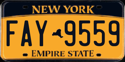 NY license plate FAY9559
