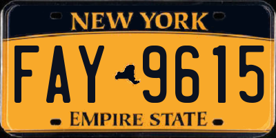 NY license plate FAY9615