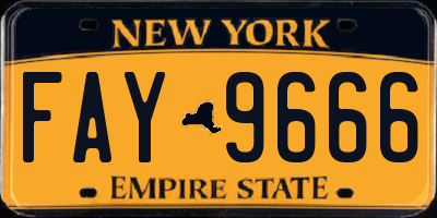 NY license plate FAY9666
