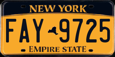 NY license plate FAY9725