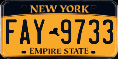 NY license plate FAY9733