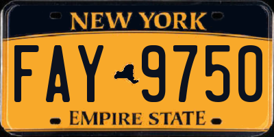 NY license plate FAY9750